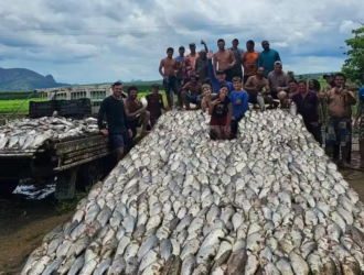 3 toneladas de peixes