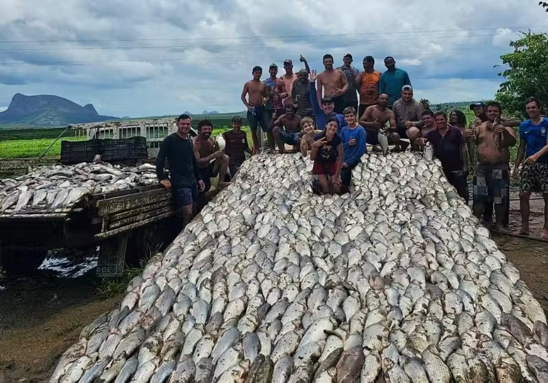 3 toneladas de peixes